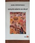Suflete ranite de pacat- Elena Constantinescu