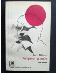 Pompierul si opera- Ion Baiesu