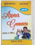 Algebra. Geometrie clasa a VIII-a - Artur Balauca, Ioan Ticalo