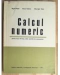 Calcul numeric pentru anul III liceu- Virgil Brisca, Bucur Ionescu