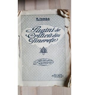 Pagini de critica din tinerete- N. Iorga
