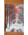 Dezghetul- A. D. Miller