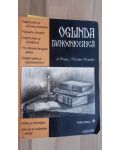 Oglinda duhovniceasca 6 - Nicodim Mandita