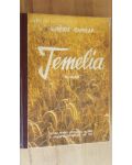 Temelia roman-Eusebiu Camilar