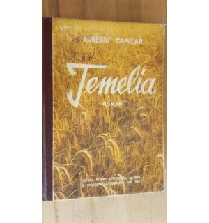 Temelia roman-Eusebiu Camilar