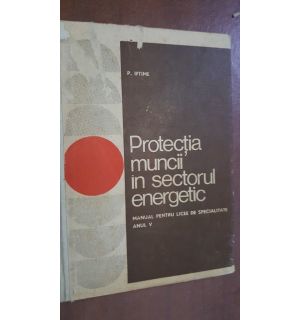 Protectia muncii in sectorul energetic manual- P. Iftime