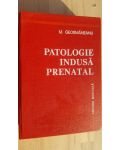 Patologie indusa prenatal- M. Geormaneanu