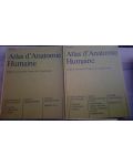 Atlas d`Anatomie Humaine 1, 2 - H. Femer, J. Staubesand