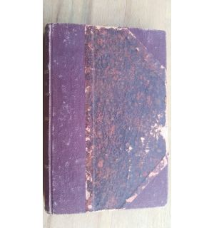 Napoleon- Comte Leon Tolstoi