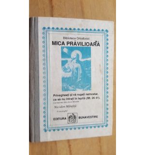 Privegheati si va rugati neincetat, ca sa nu intrati in ispita- Nicodim Mandita