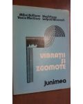 Vibratii si zgomote- Mihai Gafitanu, Virgil Focsa