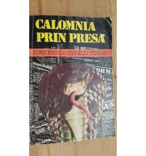 Calomnia prin presa- Doru Pavel, Corneliu Turianu