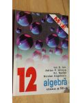 Algebra clasa a XII-a- Ion D. Ion, Adrian P. Ghioca