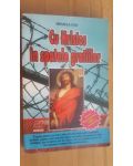 Cu Hristos in spatele gratiilor- Mihaela Ion