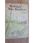 Mulltatuli roman- Max Havelaar