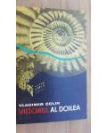 Viitorul al doilea- Vladimir Colin