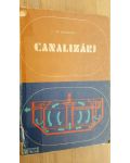 Canalizari- M.Negulescu