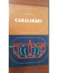 Canalizari- M.Negulescu