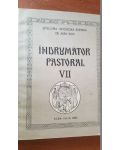 Indrumator pastoral VII