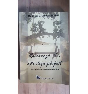Relaxeaza-te, esti deja perfect- Bruce D. Schneider
