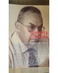 Miscarea literara- Andrei Marga