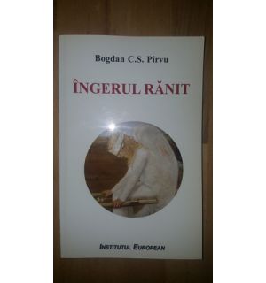 Ingerul ranit- Bogdan C.S. Pirvu