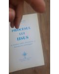Procesul lui Iisus- Ioan Fruma