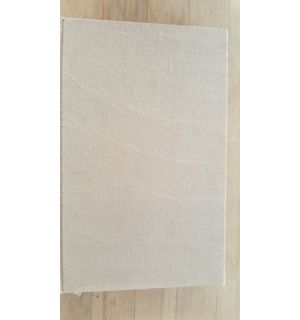 Experienta si speranta- Florian Potra