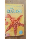 The Seashore
