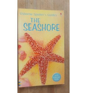 The Seashore