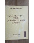 Graiurile din Valea Somuzului Mare. 2. Fonetica- Ion-Horia Birleanu