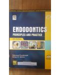 Endodontics. Principles and practice- Mahmoud Torabinejad, Richard E.Walton