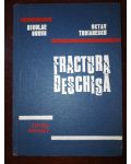 Fractura deschisa- Nicolae Gorun, Octav Troianescu