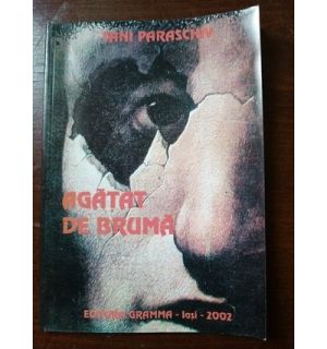 Agatat de bruma- Tani Paraschiv