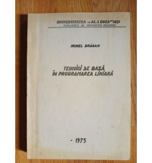 Tehnici de baza in programarea liniara- Irinel Dragan