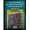 Incursiune in psihosociologia si psihosexologia familiei