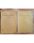 Buletinul international al Stelei nr.4-5