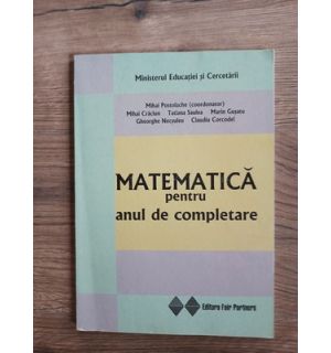 Matematica pentru anul de completare- Mihai Postolache, Mihai Craciun