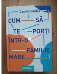 Cum sa te porti intr-o familie mare- Camille Bordas