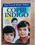 Copiii indigo. Copiii cei noi au sosit- Lee Carroll, Jan Tober