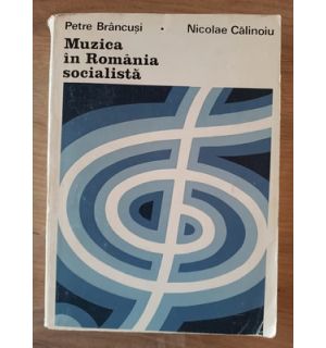 Muzica in Romania socialista- Petre Brancusi, Nicolae Calinoiu