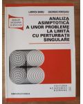 Analiza asimptotica a unor probleme la limita cu perturbatii singulare- Luminita Barbu, Gheorghe Morosanu