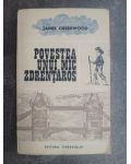 Povestea unui mic zdrentaros- James Greenwood