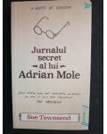 Jurnalul secret al lui Adrian Mole- Sue Townsend