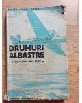 Drumuri albastre In semnarile unui pilot cu desenele autorului-Constantin Argesanu
