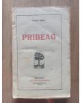 Pribeag Vasile Savel Anul 1920