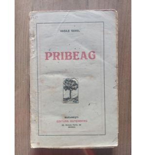 Pribeag Vasile Savel Anul 1920