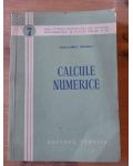Calcule numerice Haralambie Ionescu