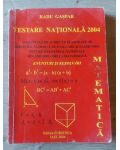 Testare nationala 2004 Enunturi si rezolvari Radu Gaspar