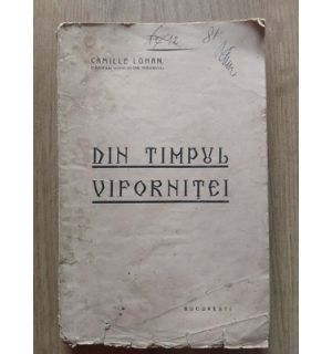 Din timpul vifornitei- Camille Loman